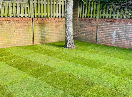 Grass cutting