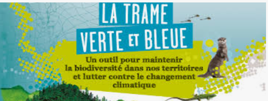 Sermaise et Renaturation : un choix politique