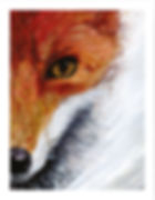 Thumbnail: Fox fine art print from an original acrylic painting by Kerry Slack - with white border