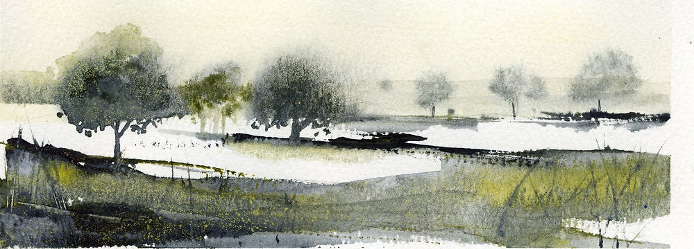 Beginners Watercolour Course with Kerry Slack