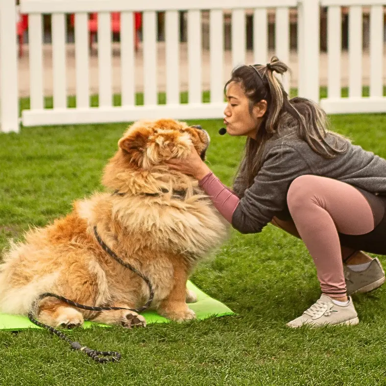 Get Ready for Tails and Treats in Downtown Oakville!