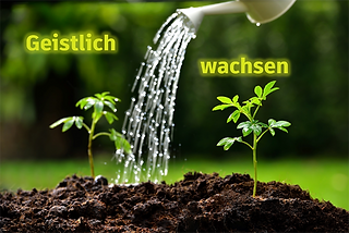 FlyerHeader_klein.png