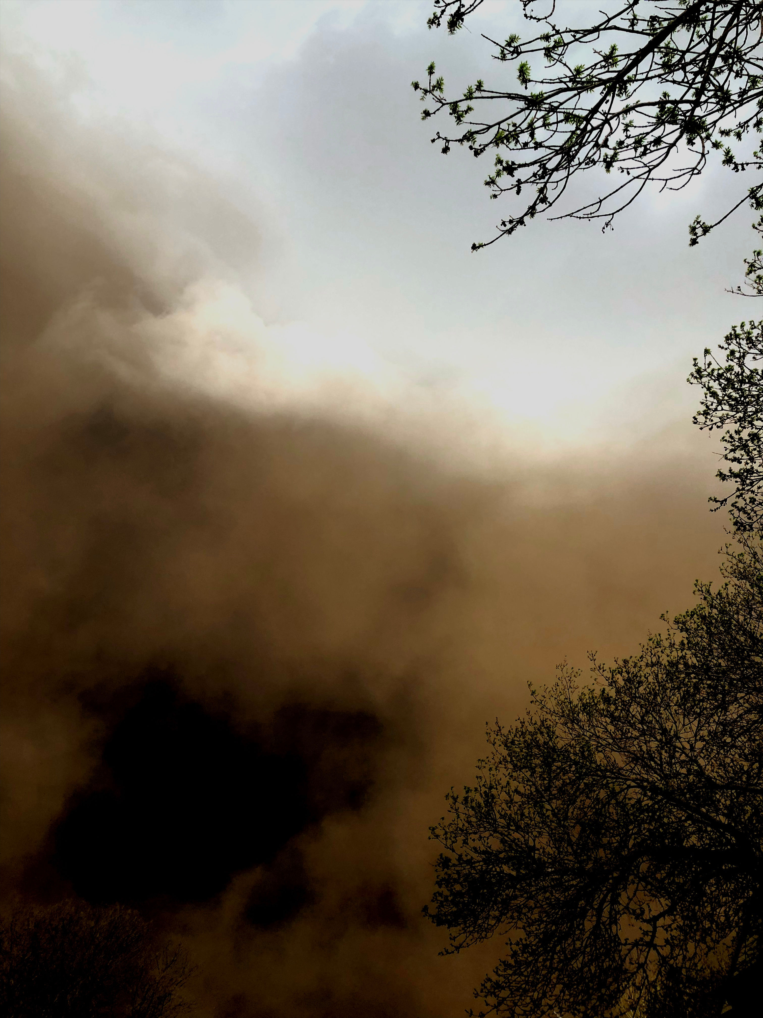 The Night of the Derecho Storm