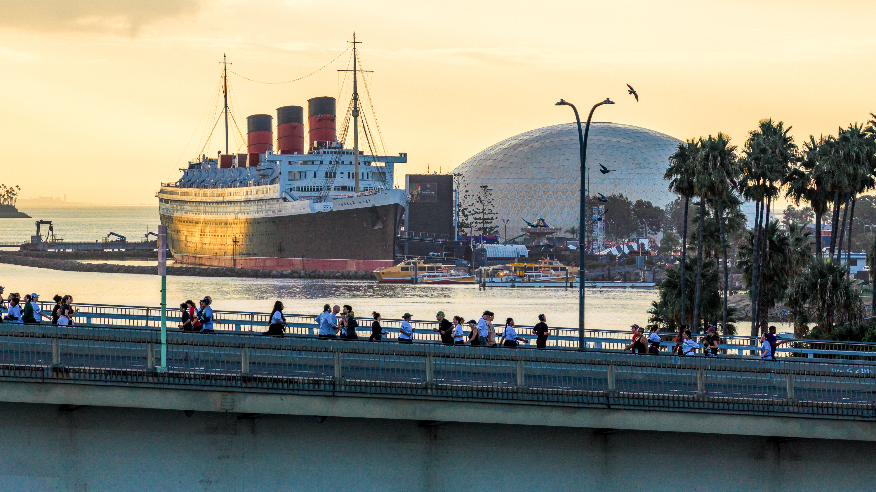 Aquarium of the Pacific 5K - Long Beach Marathon Weekend
