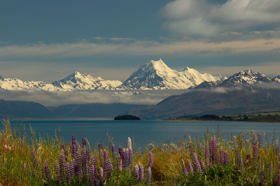 7 THINGS TO DO IN QUEENSTOWN, NZ