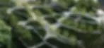 sustainable-solutions.jpg