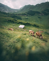 AdobeStock_215046177.jpeg