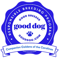companion-goldens-of-the-carolinas-3276325-badge.png