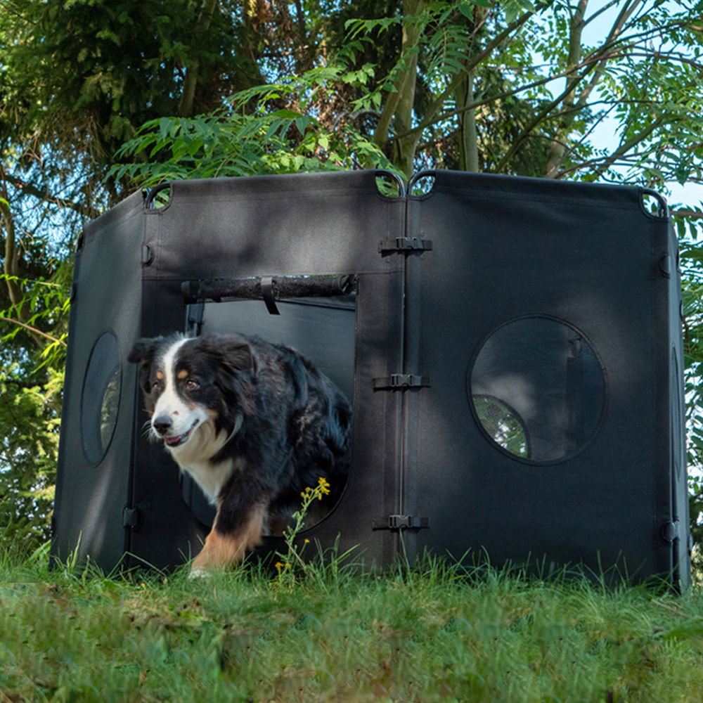 a dog loving its new Folding Dog enclosure