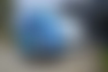 What Is A Vehicle Wrap?