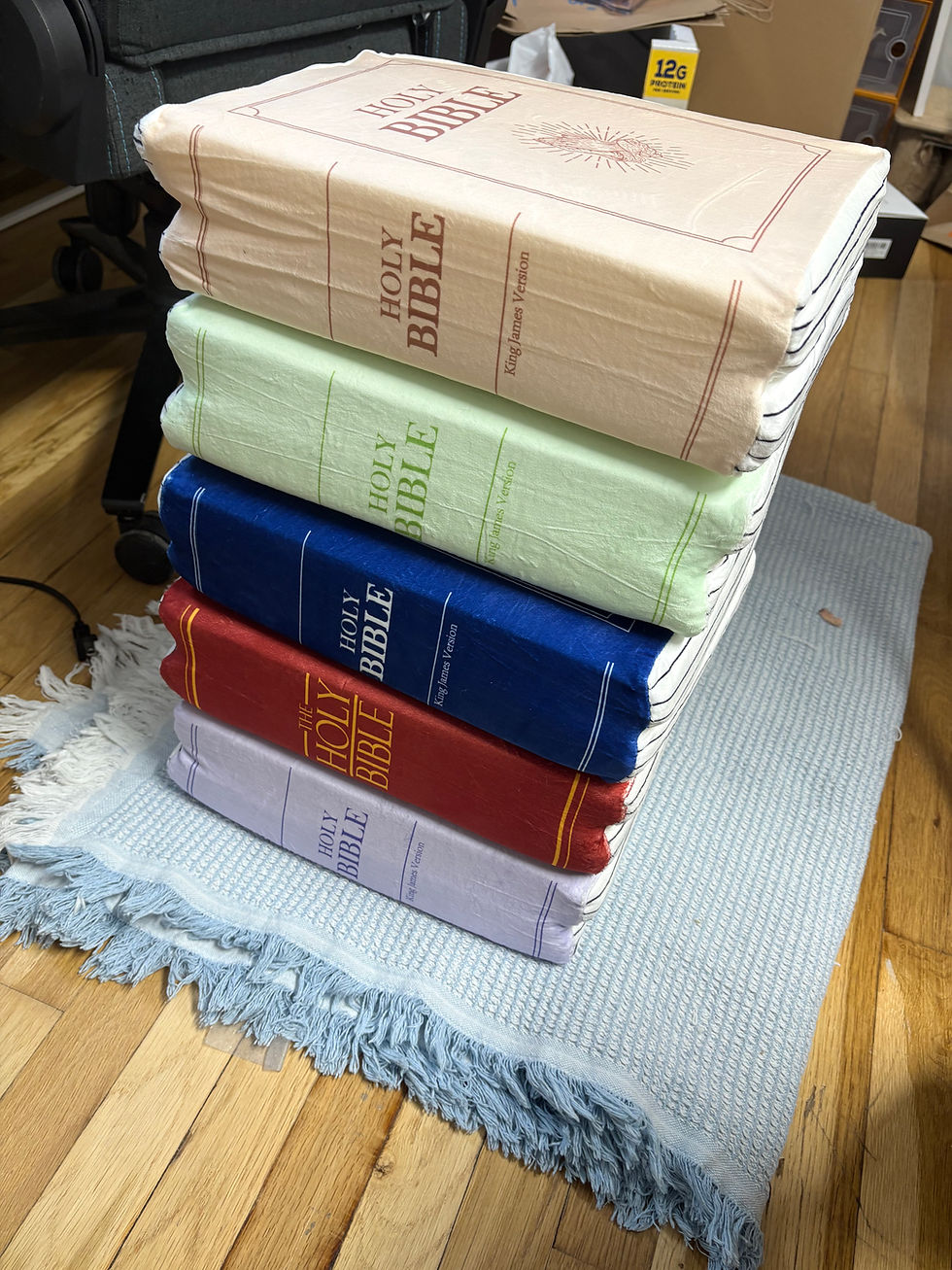 Thumbnail: 圣经抱枕 Holy Bible Christian Pillow Home Decor