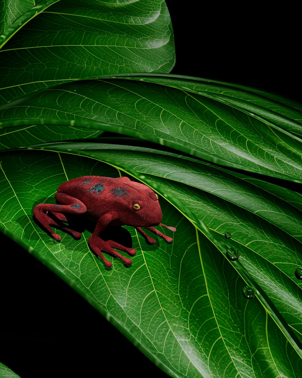 Frog5