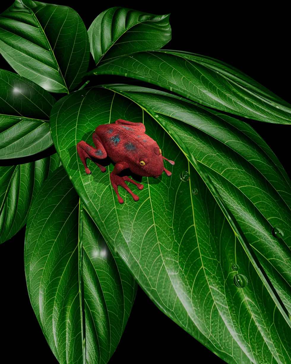 Frog1