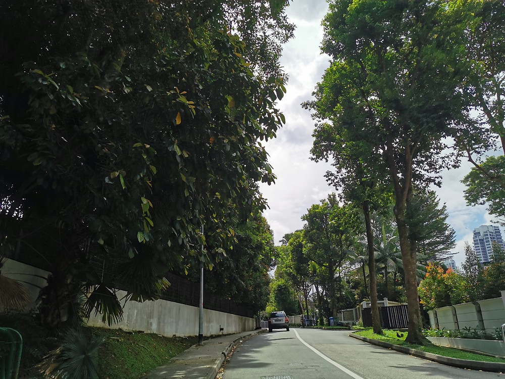 Leedon area greenery good district
