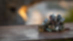 I42A8443.jpg