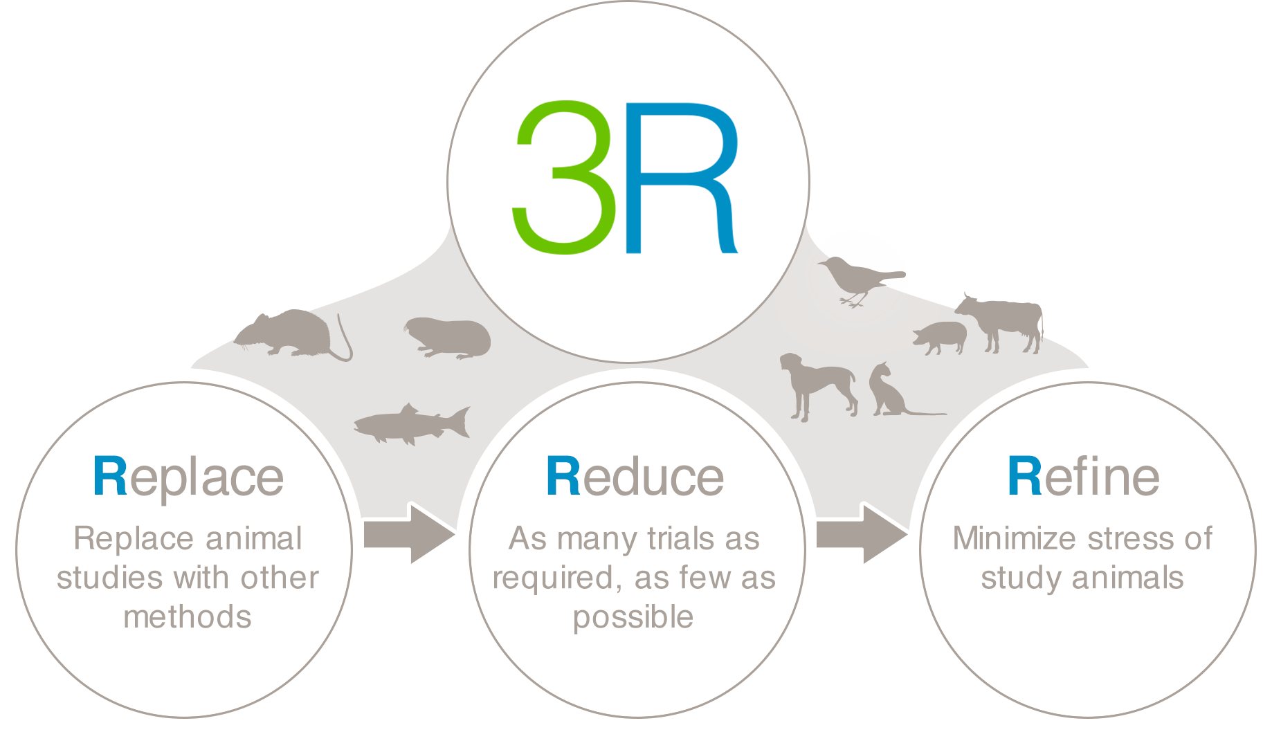 bayer_animaltesting_infographics_rrr_en.gif