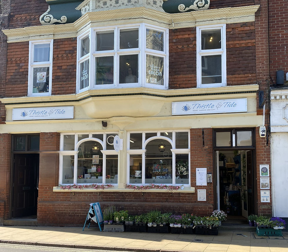 image of Thistle and Tide shop front onthe Our Story page