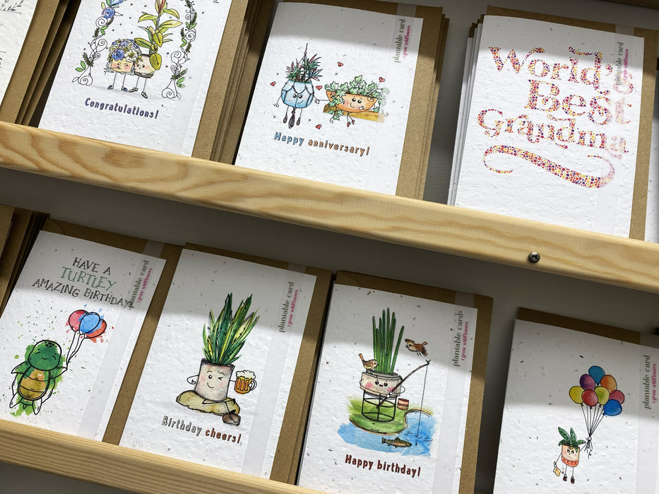 off white greetings cards with scenes involving plants and uplifting messages such as 'World's Best Grandma' with The Seed Card Company branding