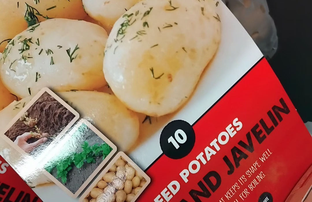packet of seed potatoes