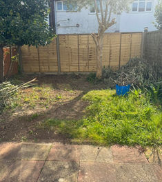 patchy grass and weeds enclosed by old mismatched fencing