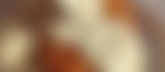 Crispy Chicken Cutlets w/ a Garlicky Parmesan Cream Sauce