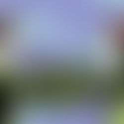 5 ideas frente al conflicto desde la Mirada Existencial