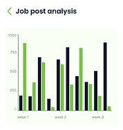 JOBS ANALYSIS (EMPLOYER  SIDE)SCREEN_edited.jpg