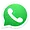 wasp.webp