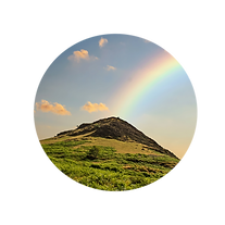 제목 없는 디자인 (1).png