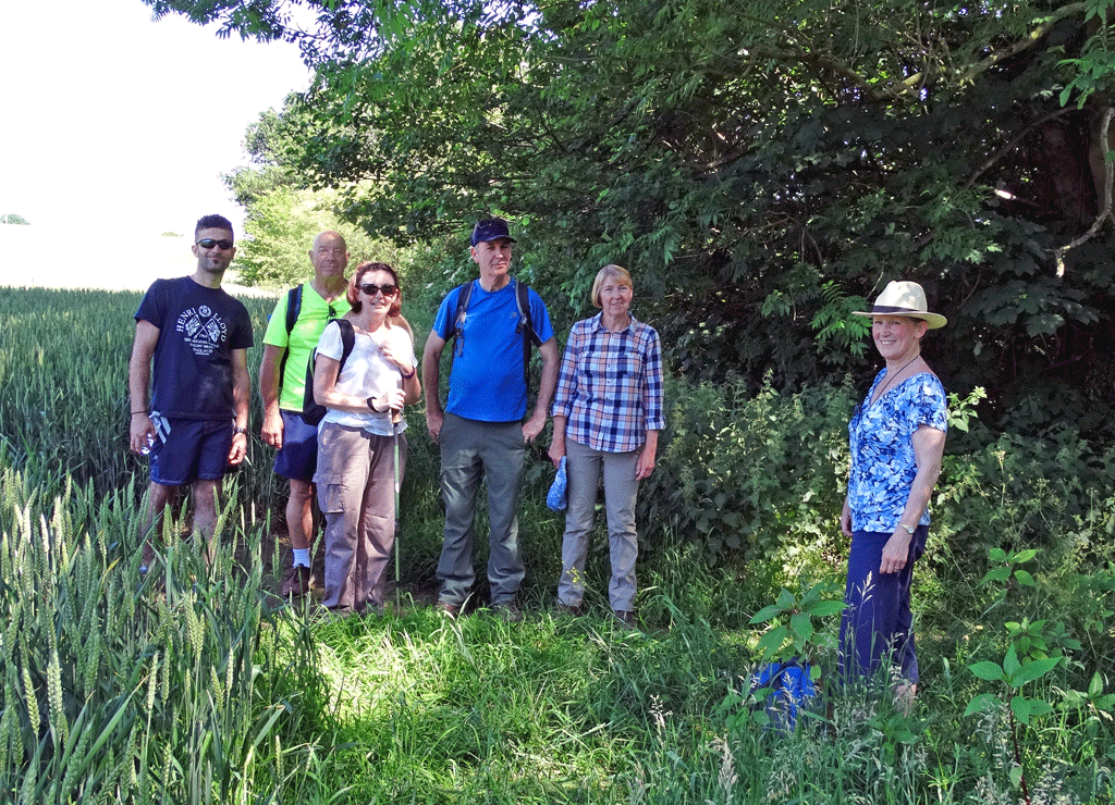 Quarry-Bank-walkers-June-17.gif