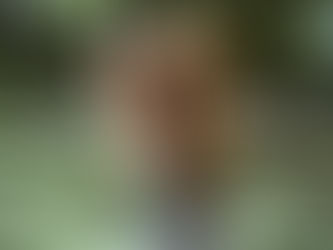 SCHMERZFREI TRAINIEREN