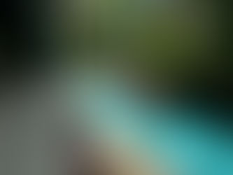 Sunny days during rainy season at The Villa Mariana