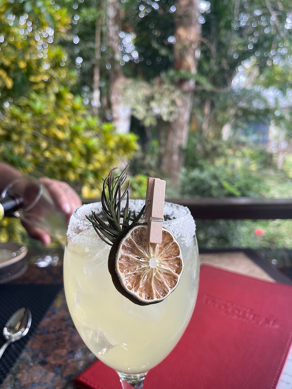 Cocktails in Manuel Antonio at The Villa Mariana