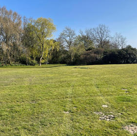 the copse