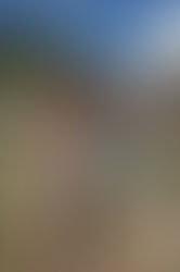 people chilling out at The Soul Camp