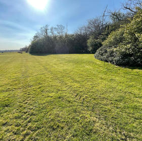 woodland to the right