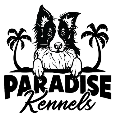 Paradiselogo_edited.png