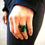 Miniature : - AMARYLLIS -