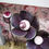 Miniature : - ROMANCE -