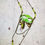 Miniature : - GREEN KERNEL -