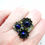 Miniature : - AMARYLLIS COBALT -