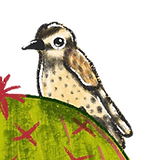 AR.png