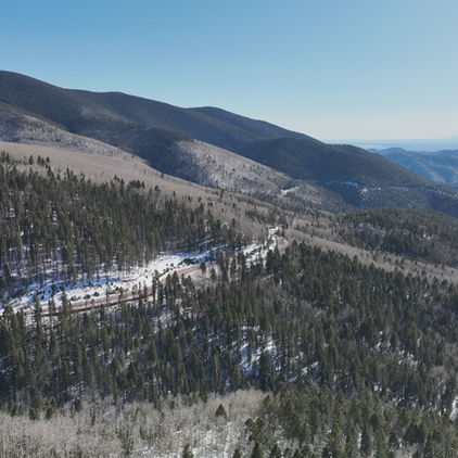 Forested mountains in New Mexico