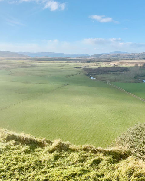 Drone Views - Pod.jpeg