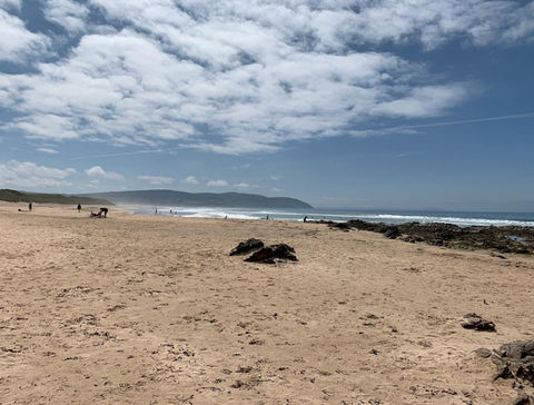 Beach.jpeg