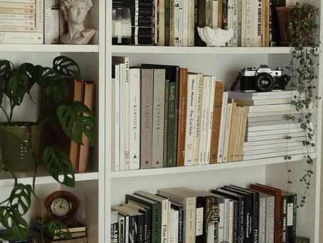 Estante de livros