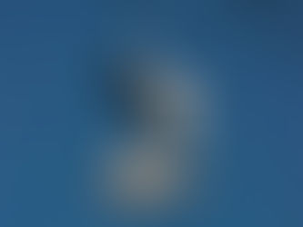 Lições sem Manual: Verdades que Não Viram Conselho