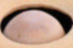 Thumbnail: Sculpture Mystery Life