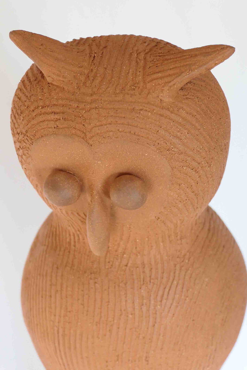 Thumbnail: Owl red-brown