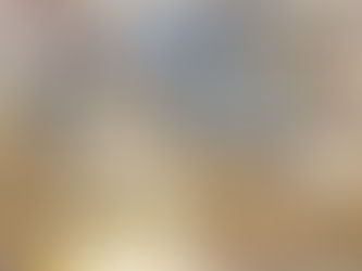 What Is MACHAMP Coin?